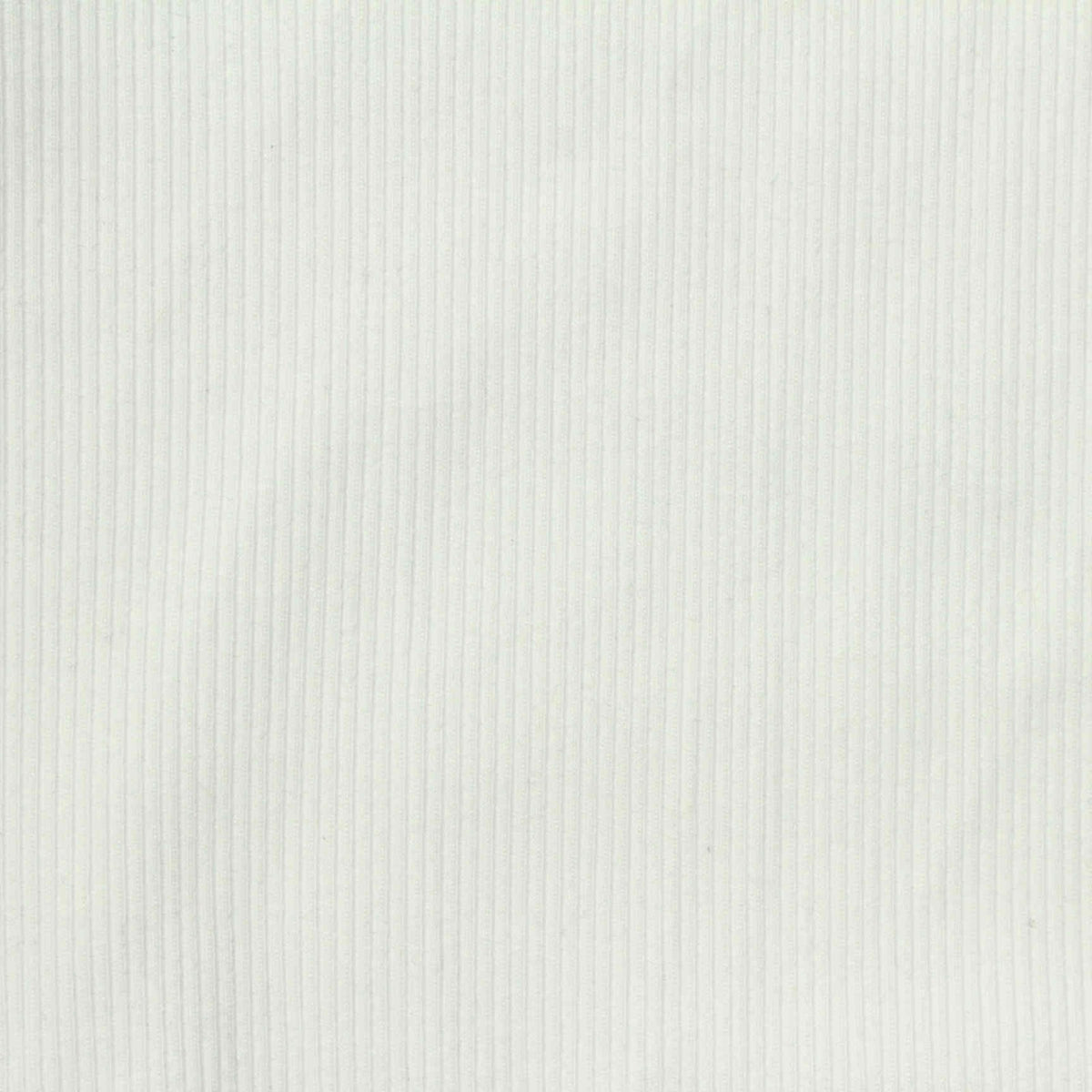 Cotton Modal Stretch Rib Knit Fabric, 330 gsm, 150 cm — White