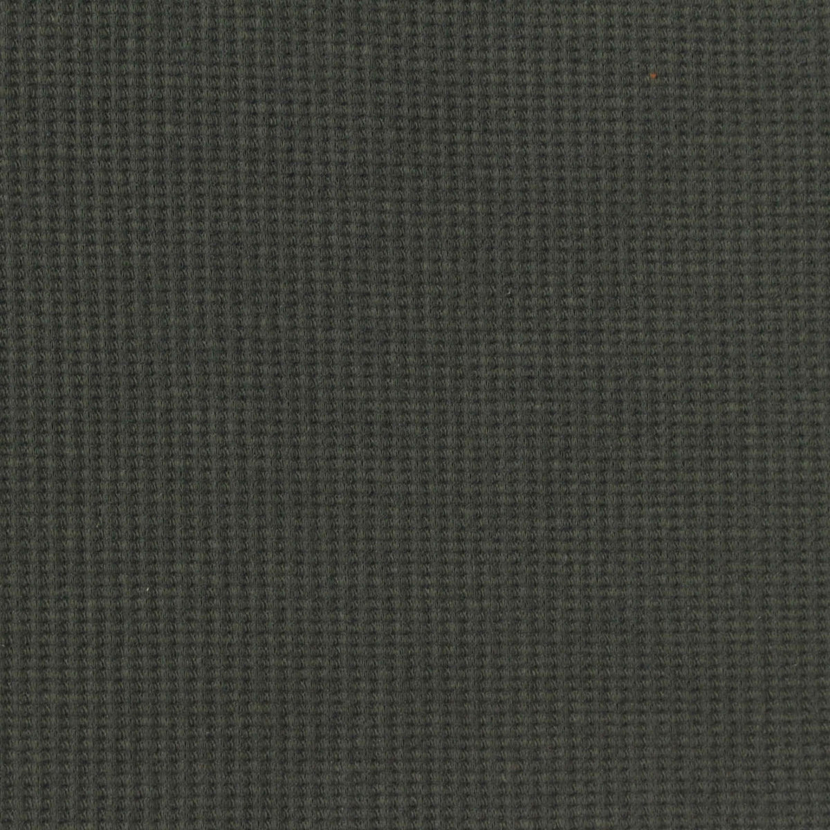 Cotton Nylon Stretch Jersey Knit Fabric, 165 gsm, 105 cm — Green