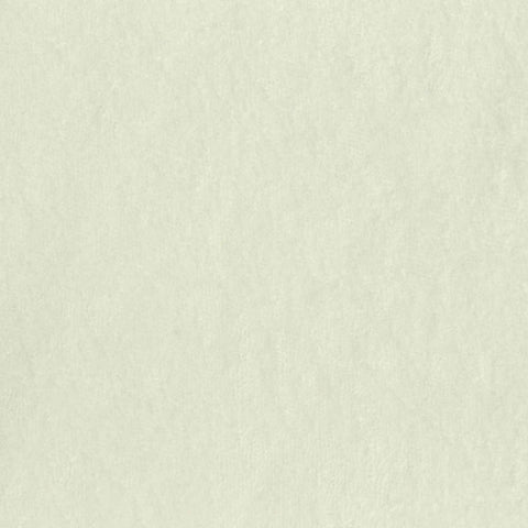 Cotton Polyester French Terry Fabric, 200 gsm, 150 cm — Khaki