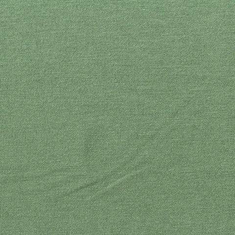 Viscose Stretch Jersey Knit Fabric, 200 gsm, 150 cm — Green, ref EF-272948