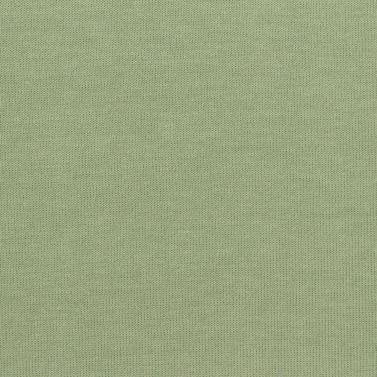 Cotton Polyester Stretch Scuba Knit Fabric, 330 gsm — Green