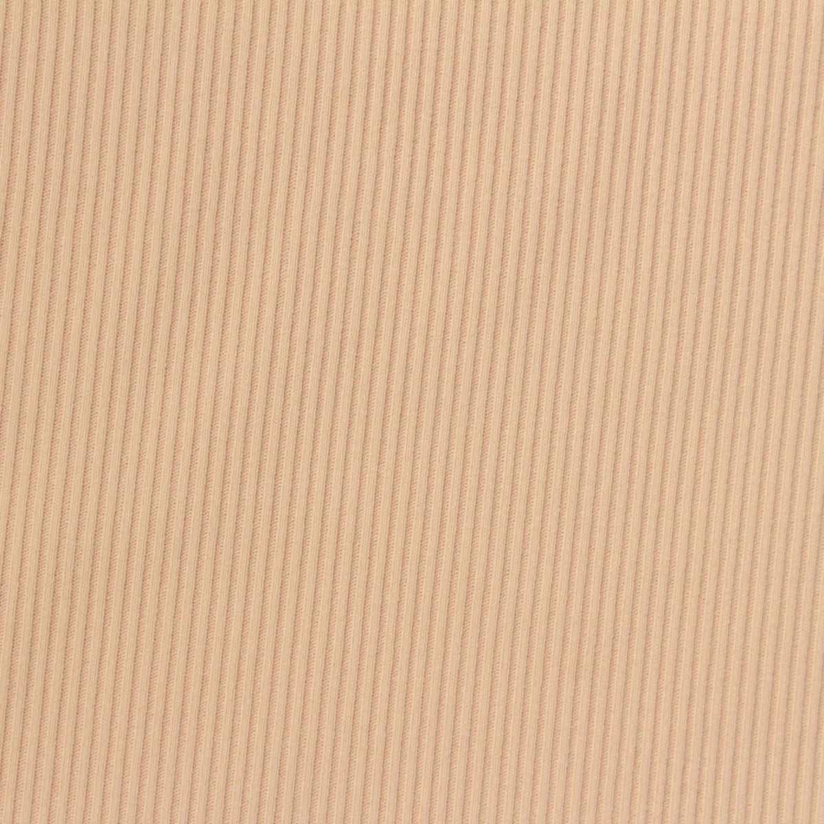Nylon Stretch Rib Knit Fabric, 210 gsm, 175 cm — Beige