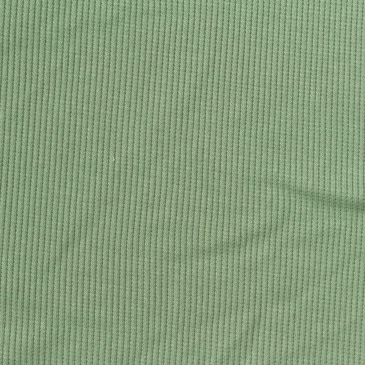 Modal Polyester Stretch Rib Knit Fabric, 230 gsm, 165 cm — Green