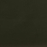 Polyester Stretch Twill Fabric, 265 gsm, 145 cm — Green