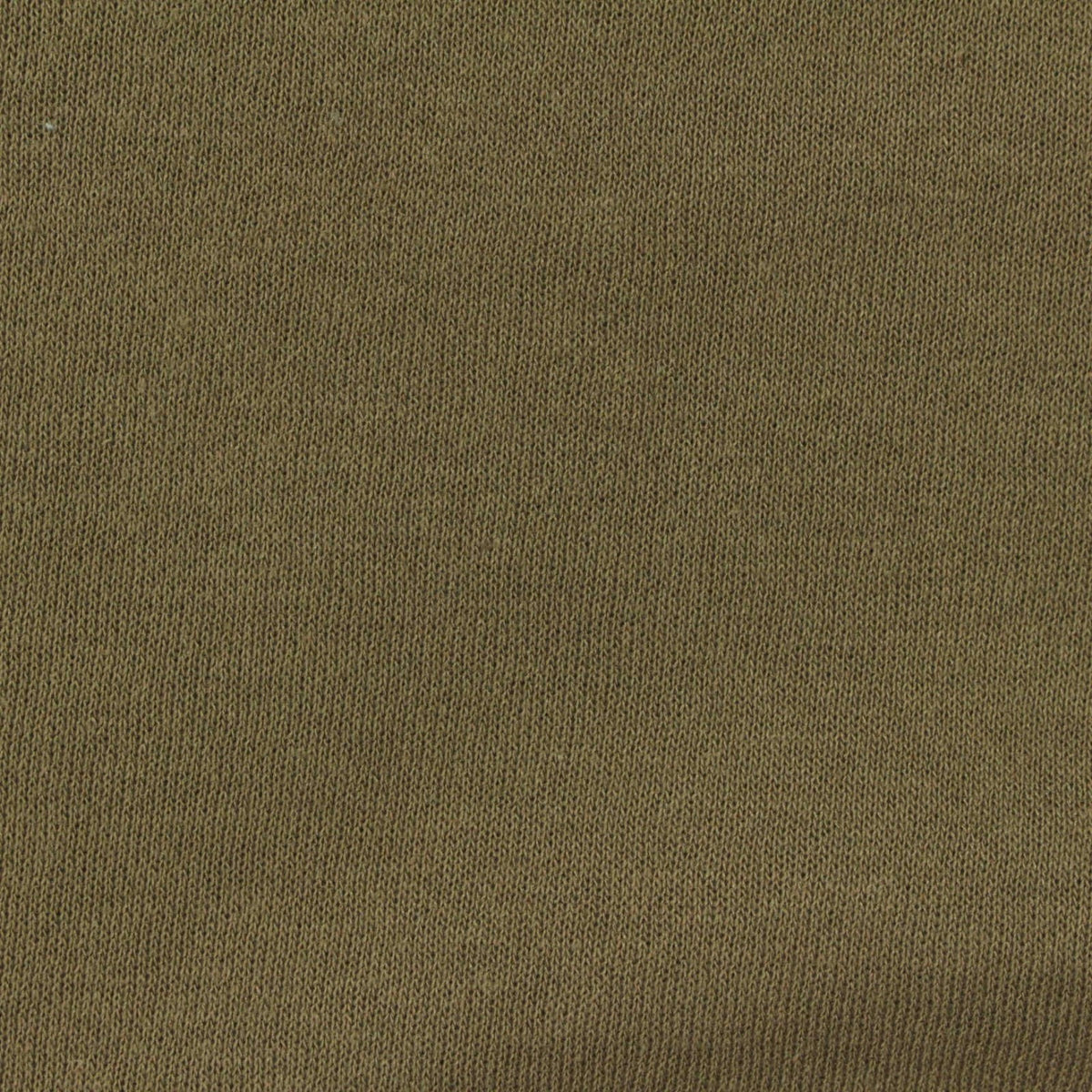 Brushed Cotton Polyester French Terry Fabric, 260 gsm, 157 cm — Khaki