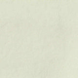 100% Polyester Fleece Fabric, 170 gsm, 150 cm — Beige — texture