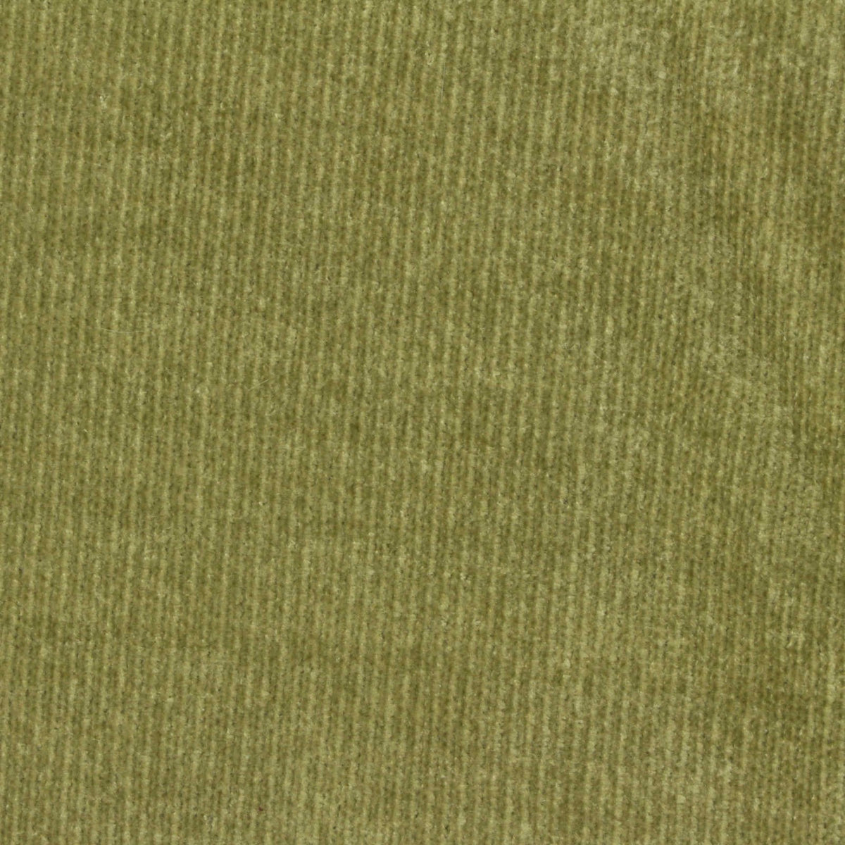 100% Polyester Knit Fabric, 340 gsm, 180 cm — Khaki, ref EF-273618