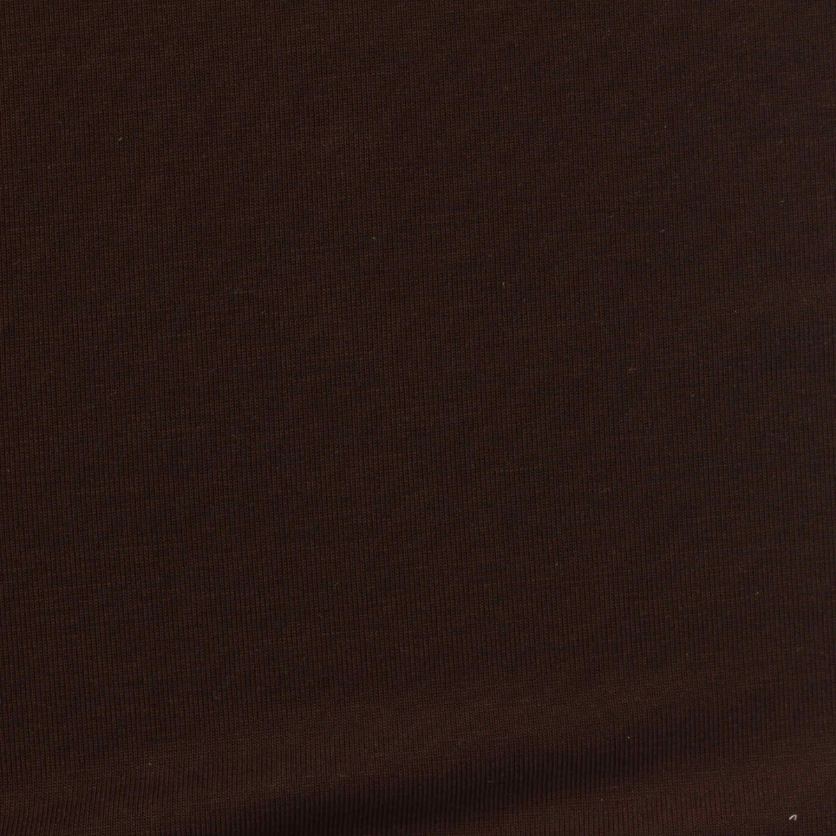 Tencel Lyocell Stretch Jersey Knit Fabric, 200 gsm, 155 cm — Brown