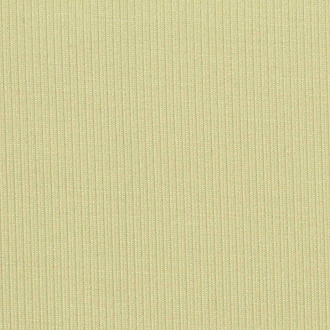Polyester Tencel Lyocell Stretch Scuba Knit Fabric, 250 gsm, 165 cm — Khaki, ref EF-273655