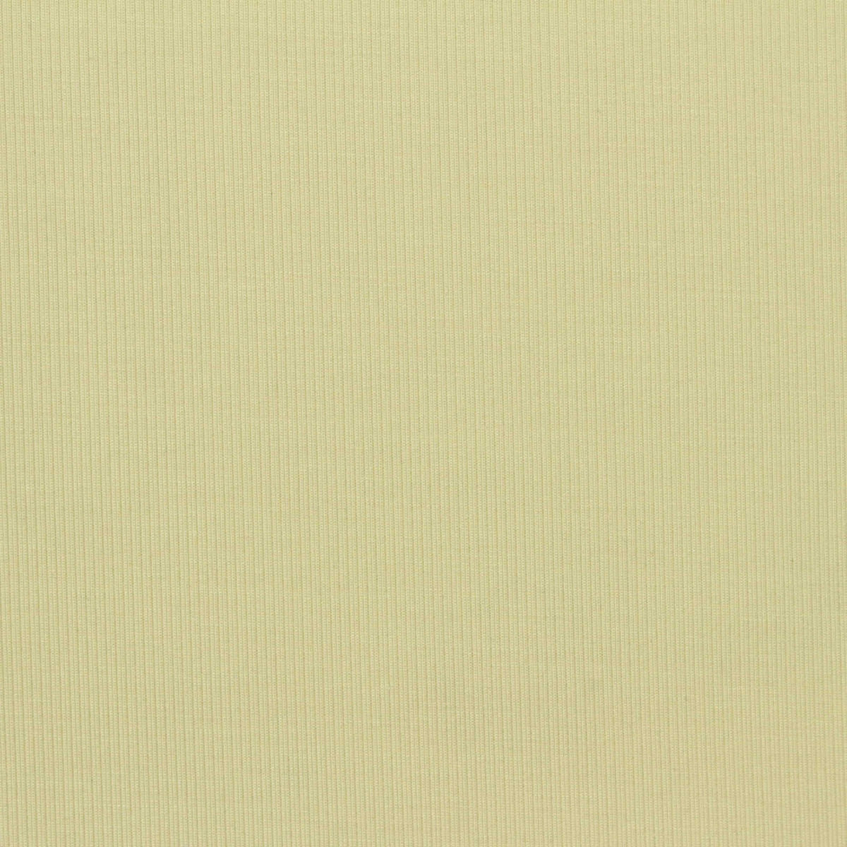 Polyester Tencel Lyocell Stretch Scuba Knit Fabric, 250 gsm, 165 cm — Khaki, ref EF-273655