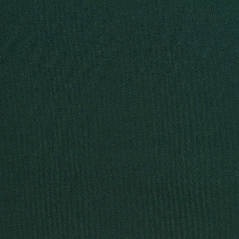 Polyester Tencel Lyocell Stretch Scuba Knit Fabric, 280 gsm, 155 cm — Green
