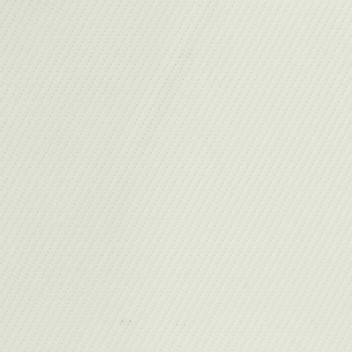 Nylon Stretch Mesh Fabric, 165 gsm, 165 cm — White
