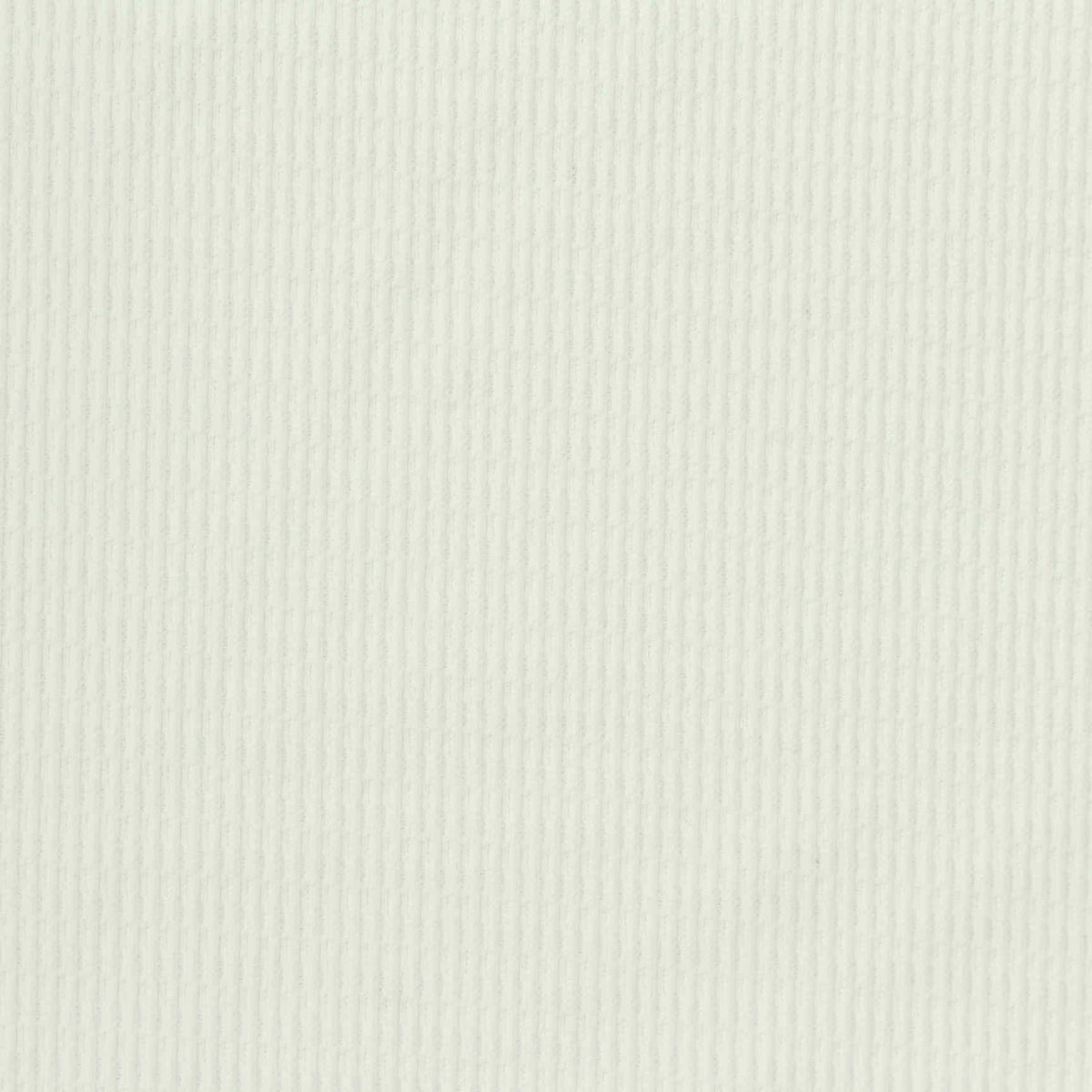 Nylon Stretch Knit Fabric, 160 gsm, 165 cm — White