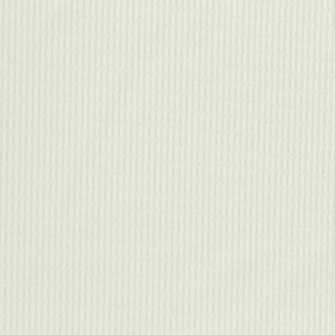 Nylon Stretch Knit Fabric, 160 gsm, 165 cm — White