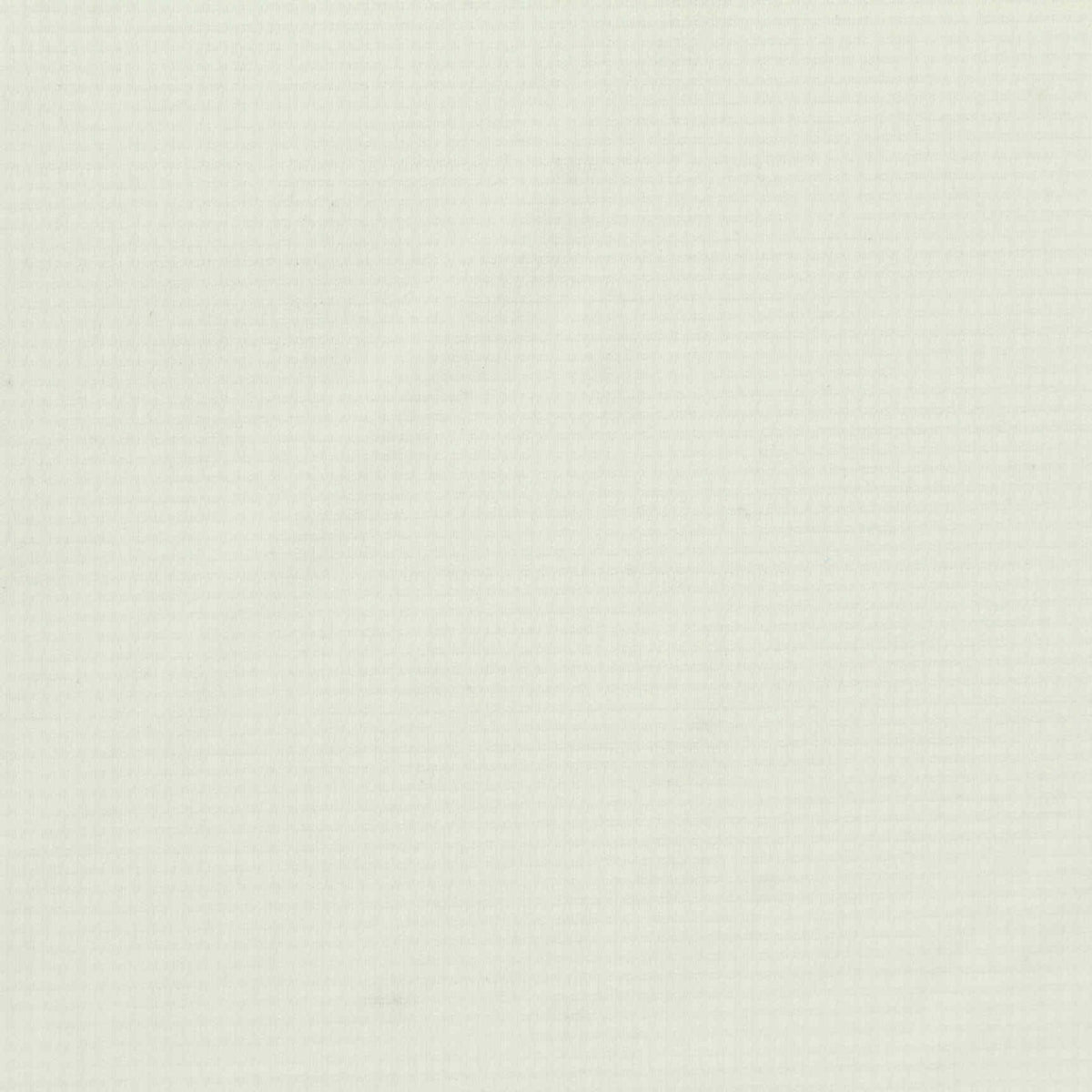 Nylon Stretch Waffle Knit Fabric, 175 gsm, 170 cm — White