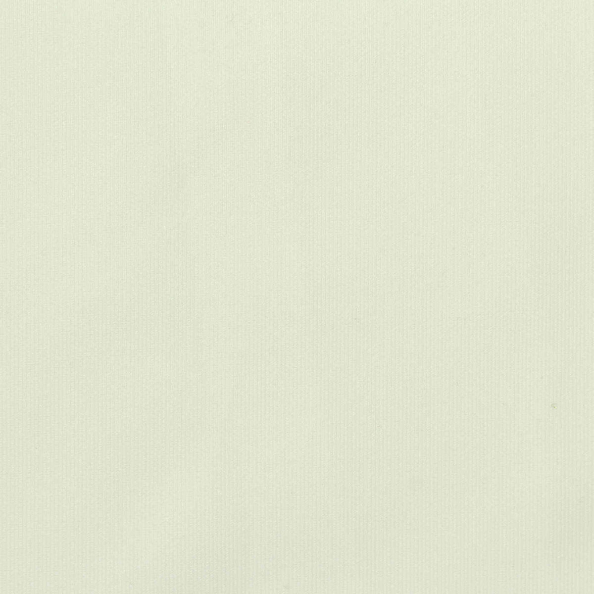 Polyester Viscose Stretch Scuba Knit Fabric, 360 gsm, 160 cm — White