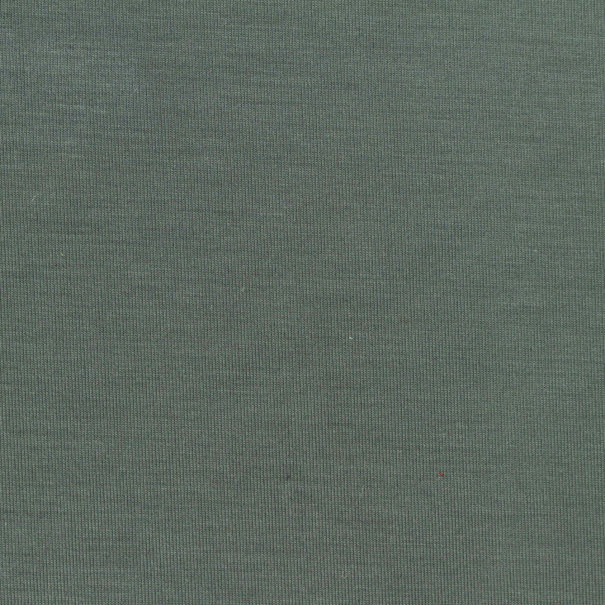 Polyester Modal Stretch Scuba Knit Fabric, 320 gsm, 165 cm — Green