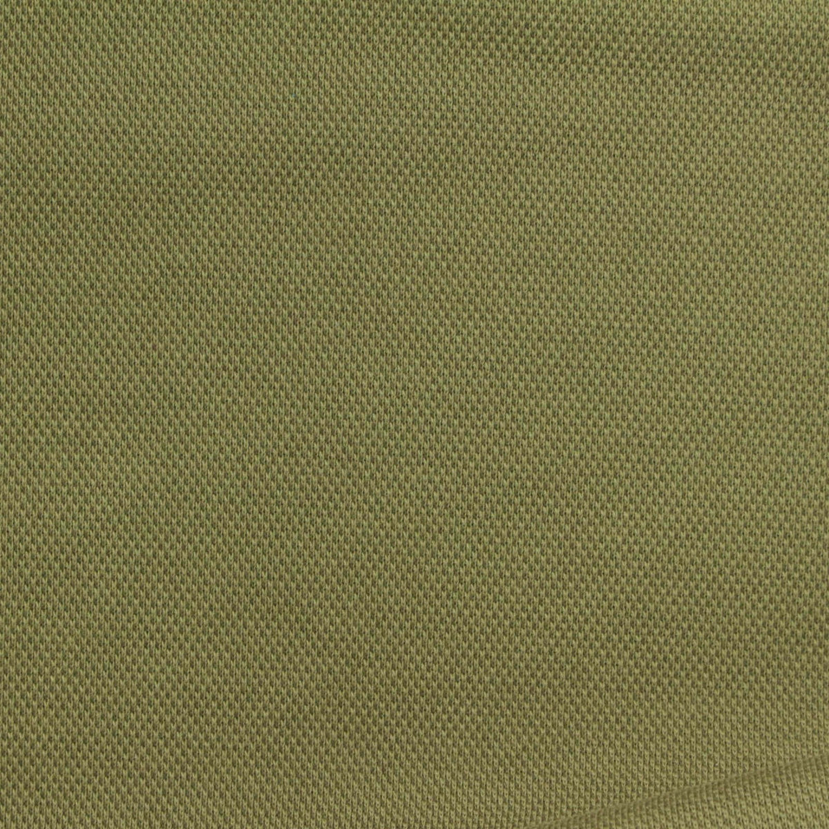 Cotton Polyester Stretch Piqué Knit Fabric, 360 gsm, 175 cm — Khaki