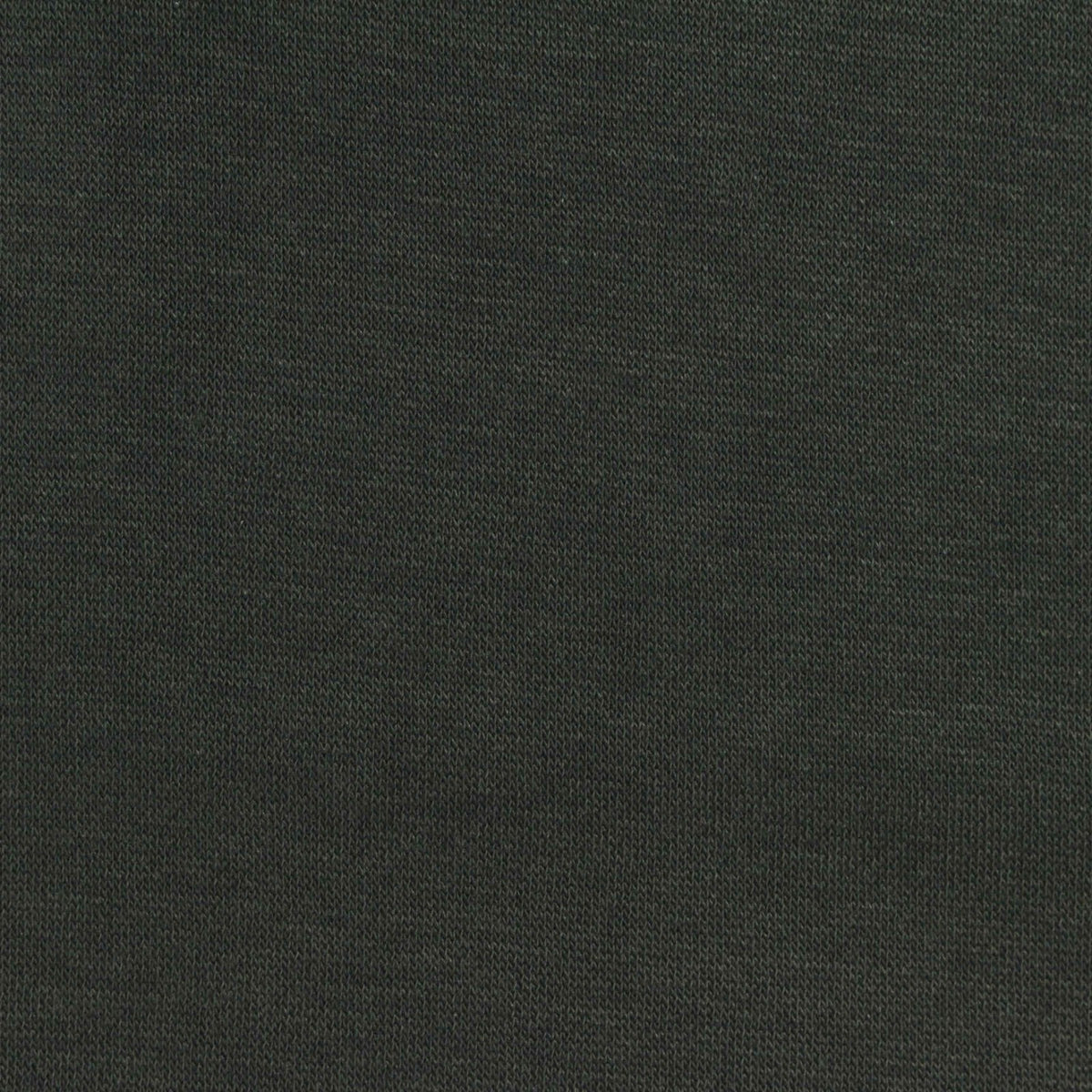 Brushed 100% Polyester French Terry Fabric, 265 gsm, 152 cm — Green