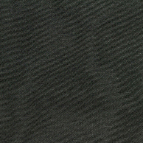 Brushed 100% Polyester French Terry Fabric, 265 gsm, 152 cm — Green