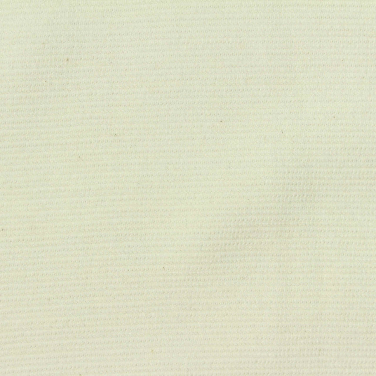 Polyester Cotton Stretch Rib Knit Fabric, 296 gsm, 160 cm — Beige