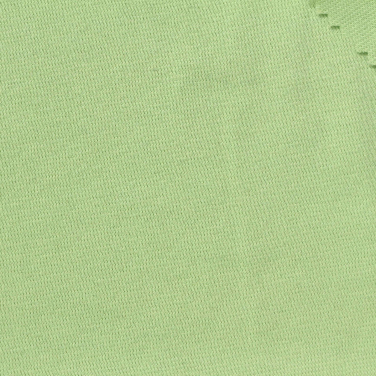 Cotton Polyester Stretch Rib Knit Fabric, 281 gsm, 172 cm — Green