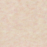 Polyester Stretch Knit Fabric, 230 gsm, 185 cm — Beige