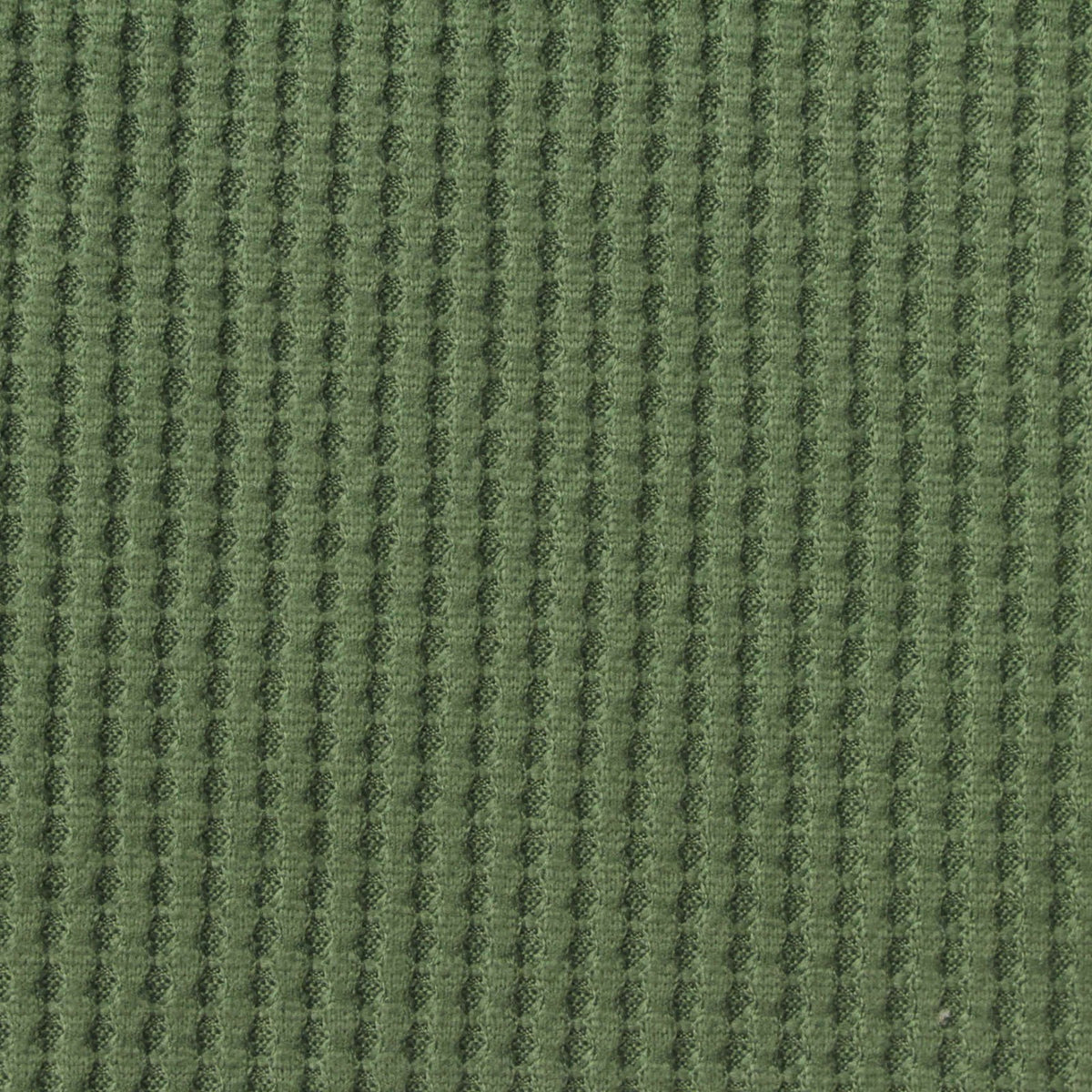 Brushed Polyester Stretch Waffle Knit Fabric, 220 gsm, 140 cm — Green, ref EF-274302