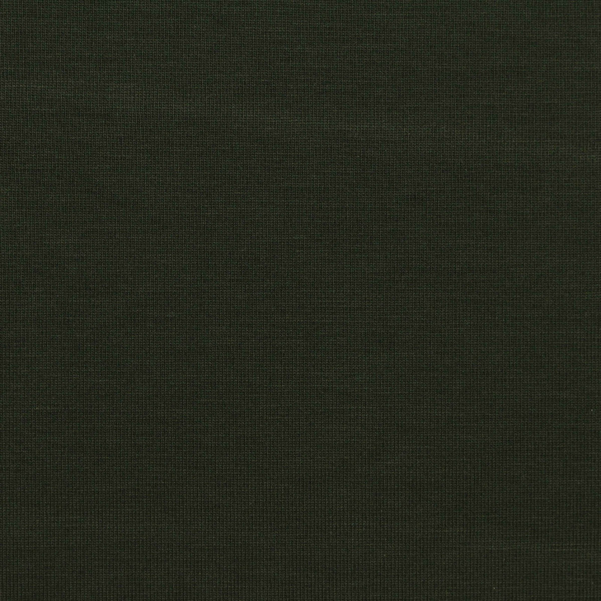 Tencel Lyocell Stretch Jersey Knit Fabric, 250 gsm, 155 cm — Green, ref EF-274356