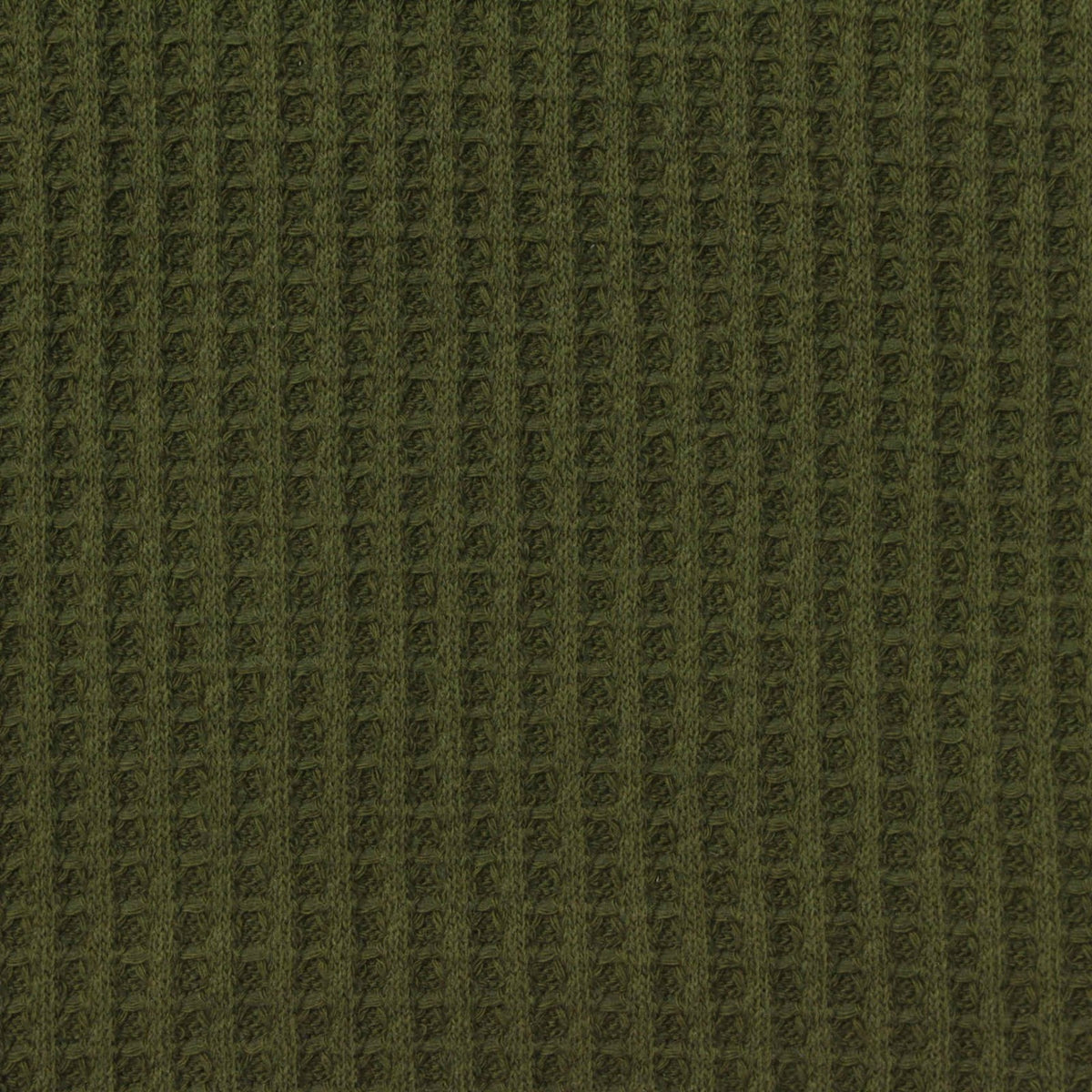 Cotton Tencel Lyocell Waffle Knit Fabric, 260 gsm, 125 cm — Green