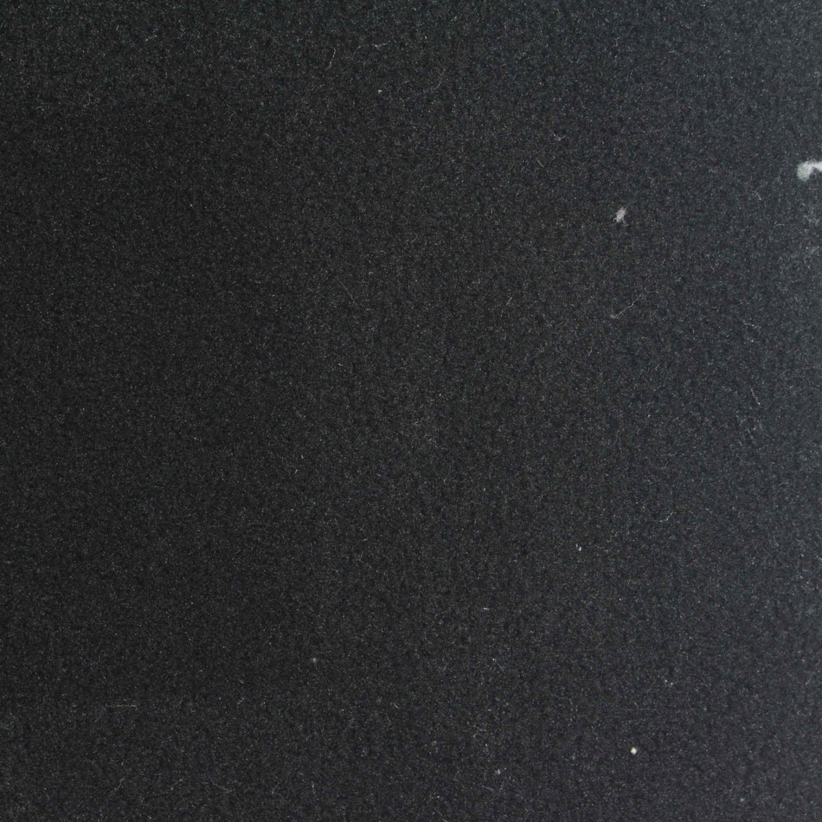 100% Polyester Fleece Fabric, 160 gsm, 155 cm — Black
