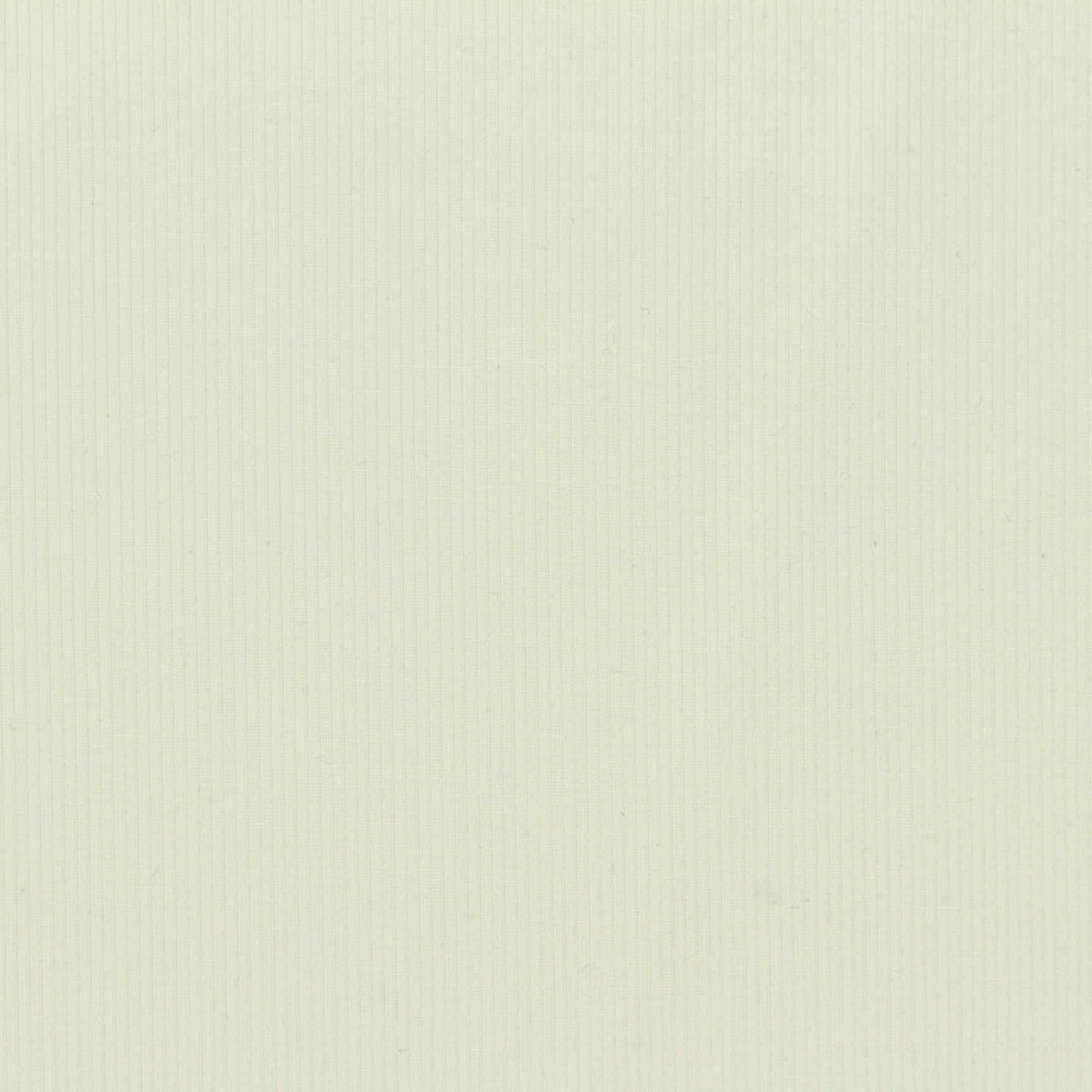 Polyester Tencel Lyocell Stretch Scuba Knit Fabric, 250 gsm, 165 cm — Khaki, ref EF-274498