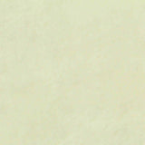 100% Polyester Fleece Fabric, 290 gsm, 185 cm — Khaki — texture