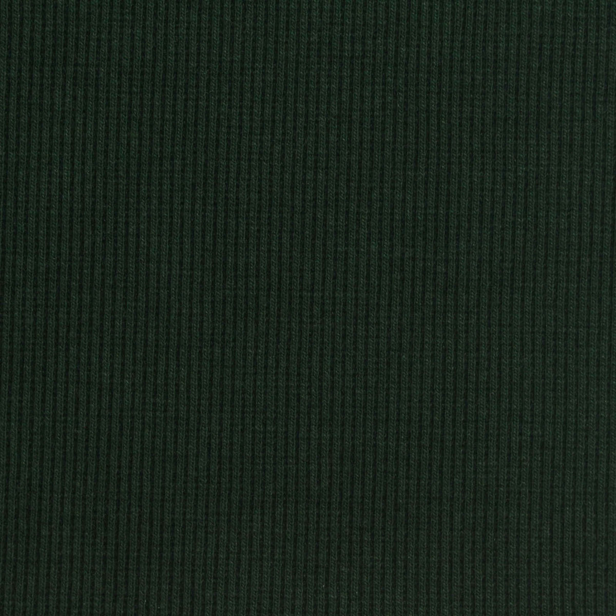 Cotton Polyester Stretch Rib Knit Fabric, 380 gsm, 130 cm — Green, ref EF-275386