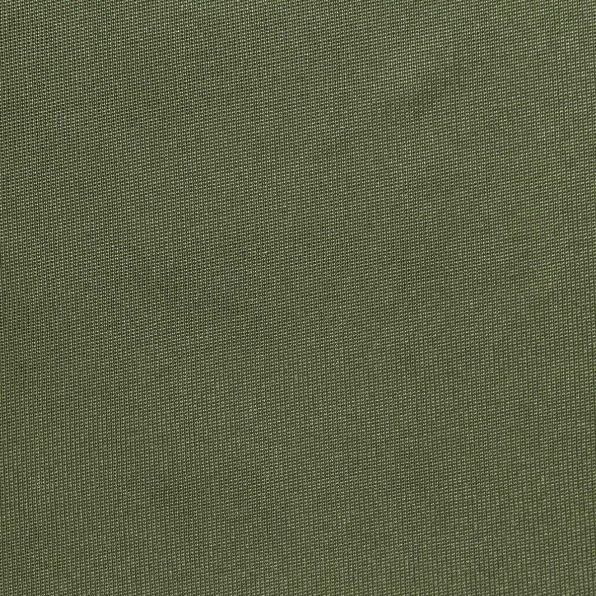 Polyester Stretch Rib Knit Fabric, 240 gsm — Green, ref EF-275654