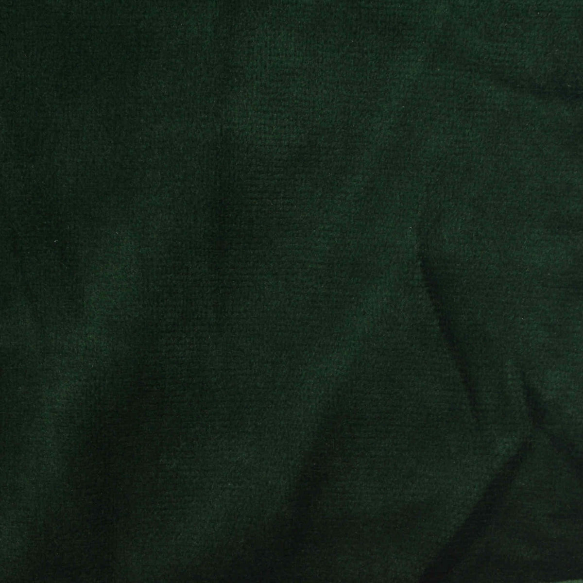 Dark Green Brushed Warp Knit, Polyester