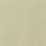 Brushed Polyester Stretch Knit Fabric, 430 gsm, 160 cm — Beige