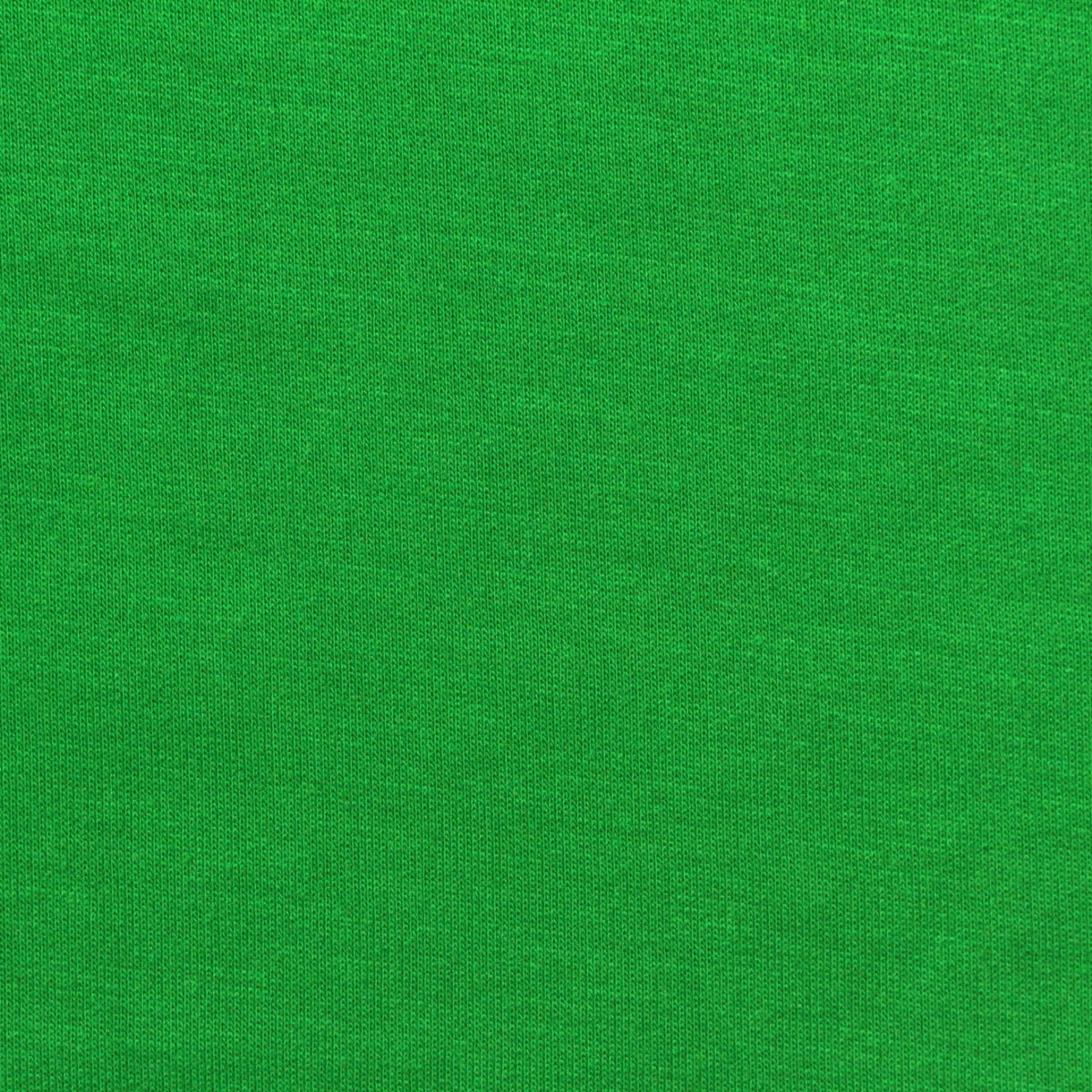 Polyester Viscose Stretch French Terry Fabric, 240 gsm, 170 cm — Green