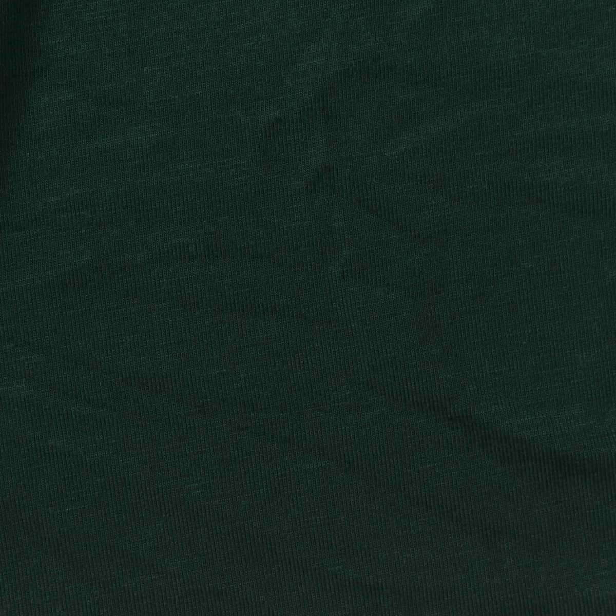 Viscose Stretch Jersey Knit Fabric, 240 gsm, 160 cm — Green