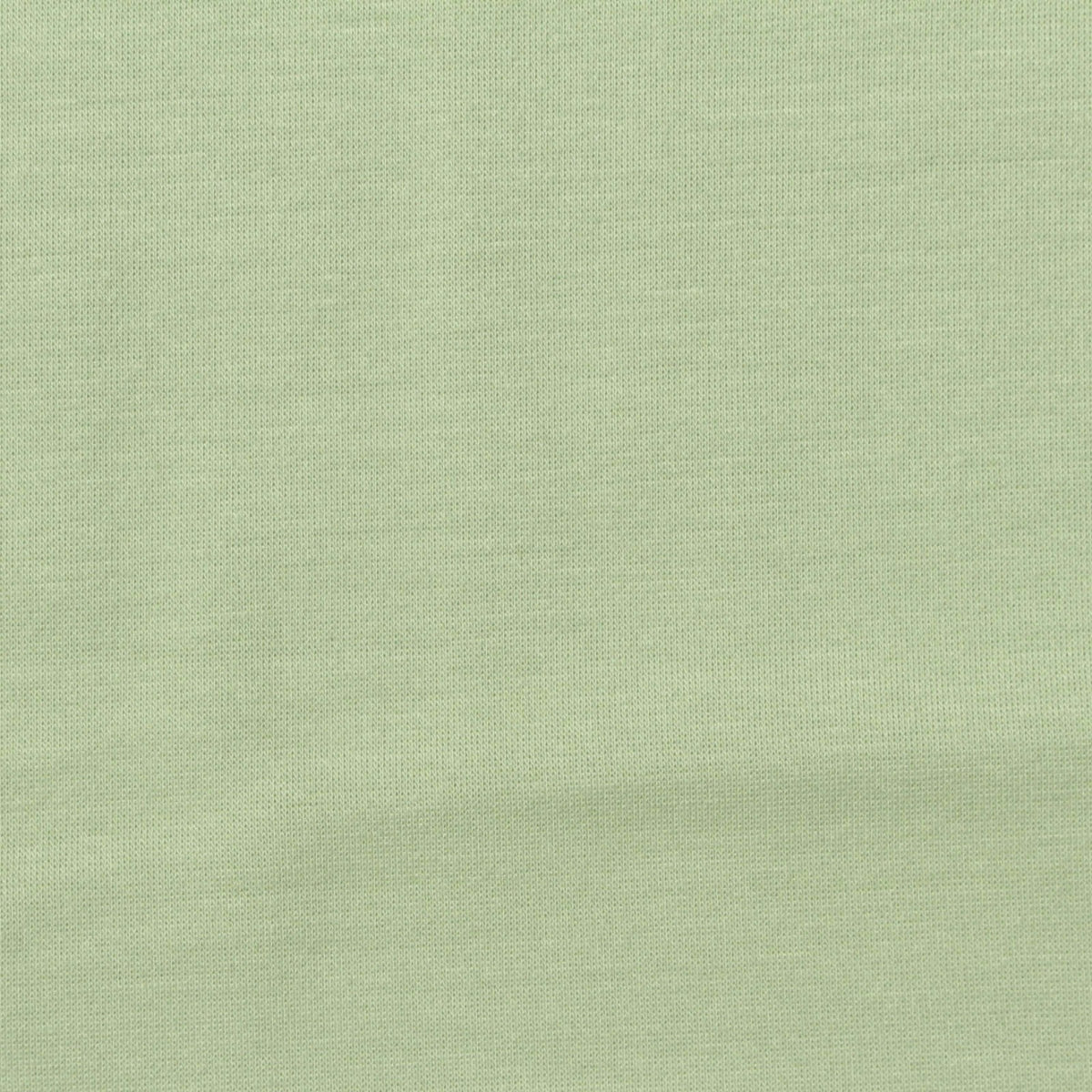 Polyester Viscose Stretch Scuba Knit Fabric, 240 gsm, 150 cm — Green, ref EF-276284