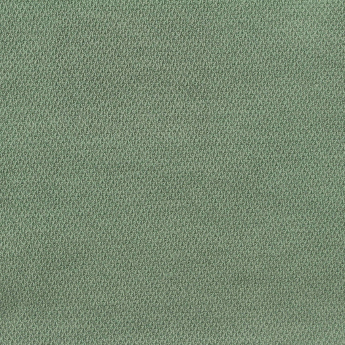 Cotton Polyester Piqué Knit Fabric, 280 gsm, 173 cm — Green