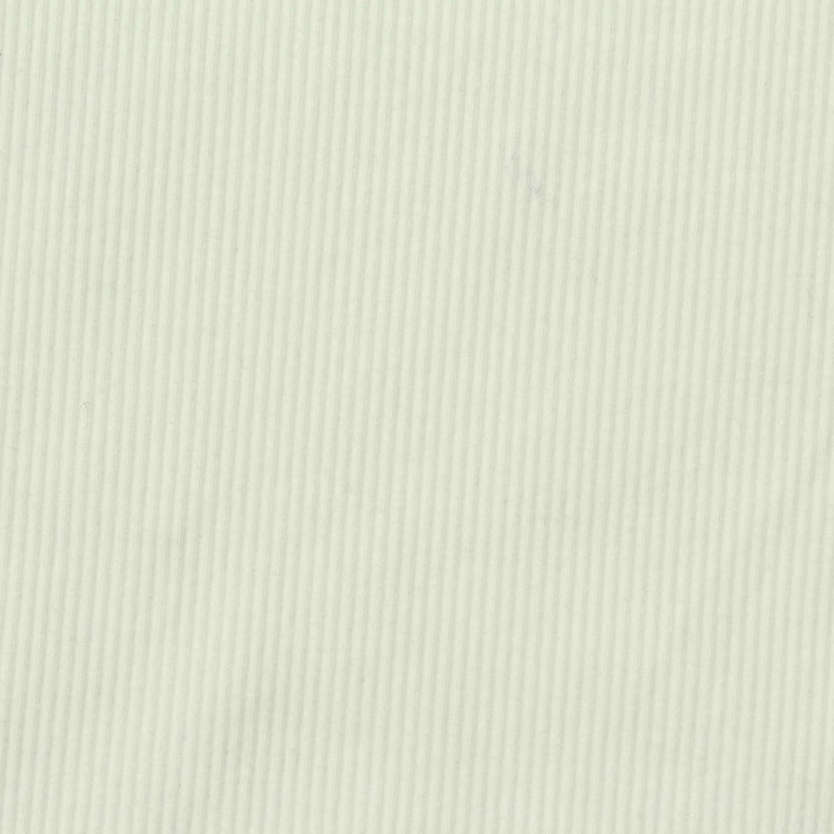 Cotton Stretch Rib Knit Fabric, 250 gsm, 120 cm — Beige