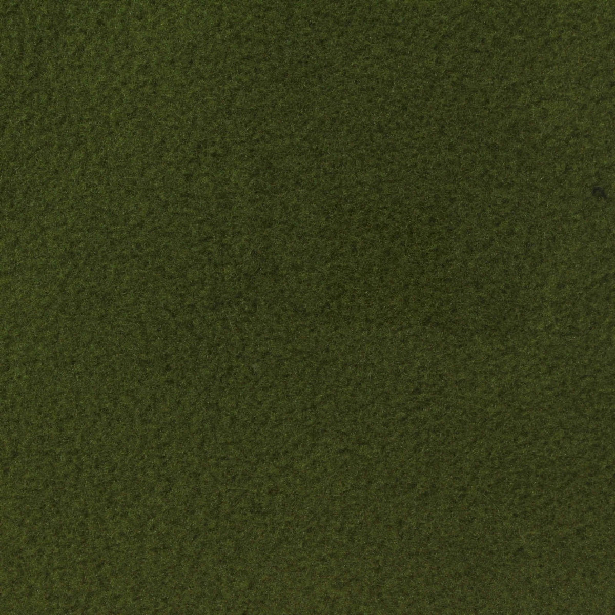 100% Polyester Fleece Fabric, 265 gsm, 160 cm — Green