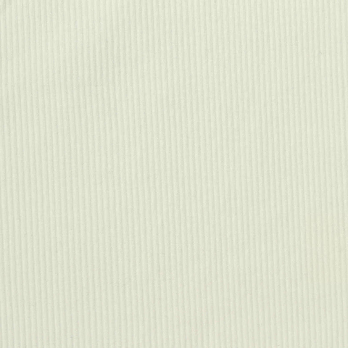 Cotton Stretch Rib Knit Fabric, 280 gsm, 130 cm — White