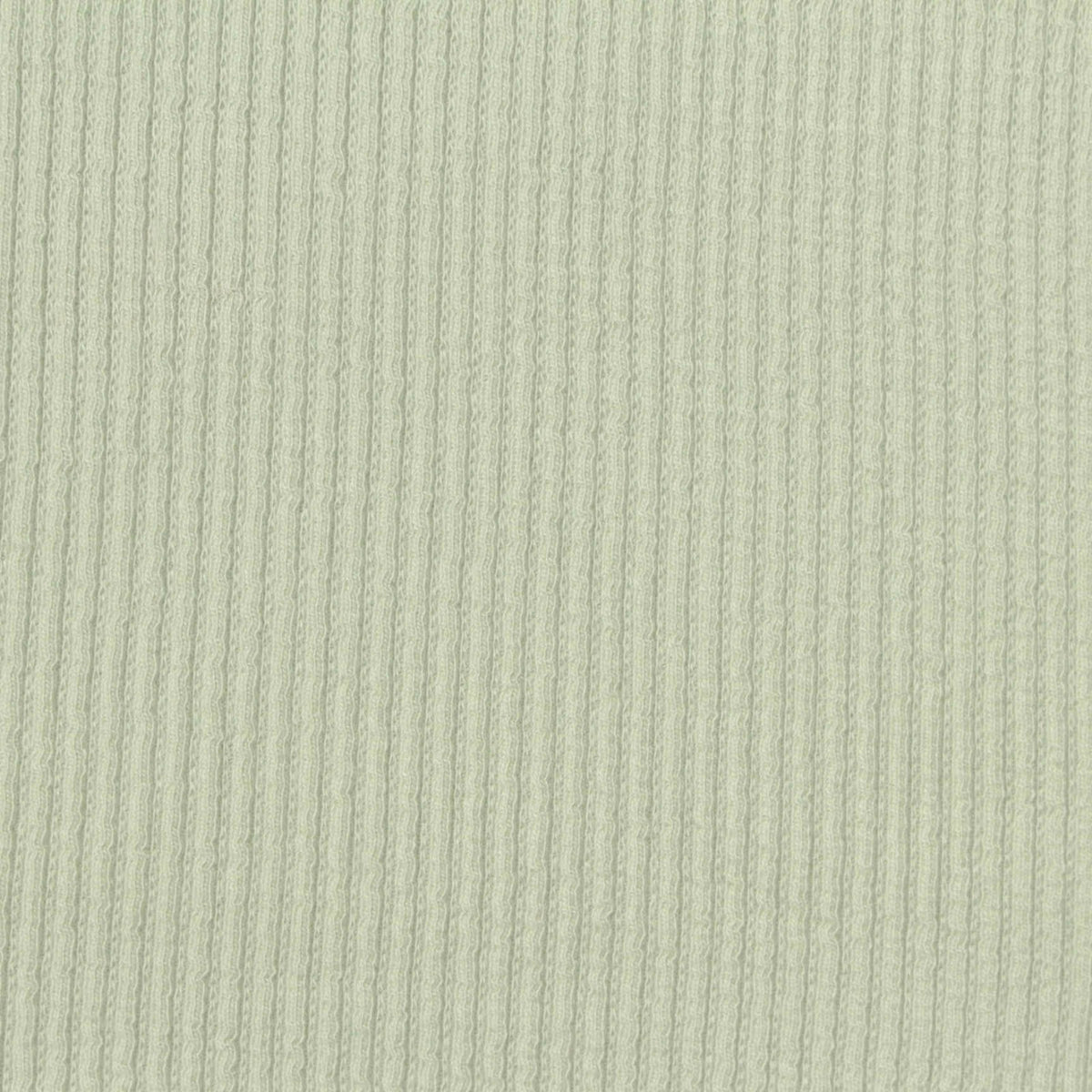 Jacquard Cotton Modal Stretch Rib Knit Fabric, 340 gsm, 165 cm — Green
