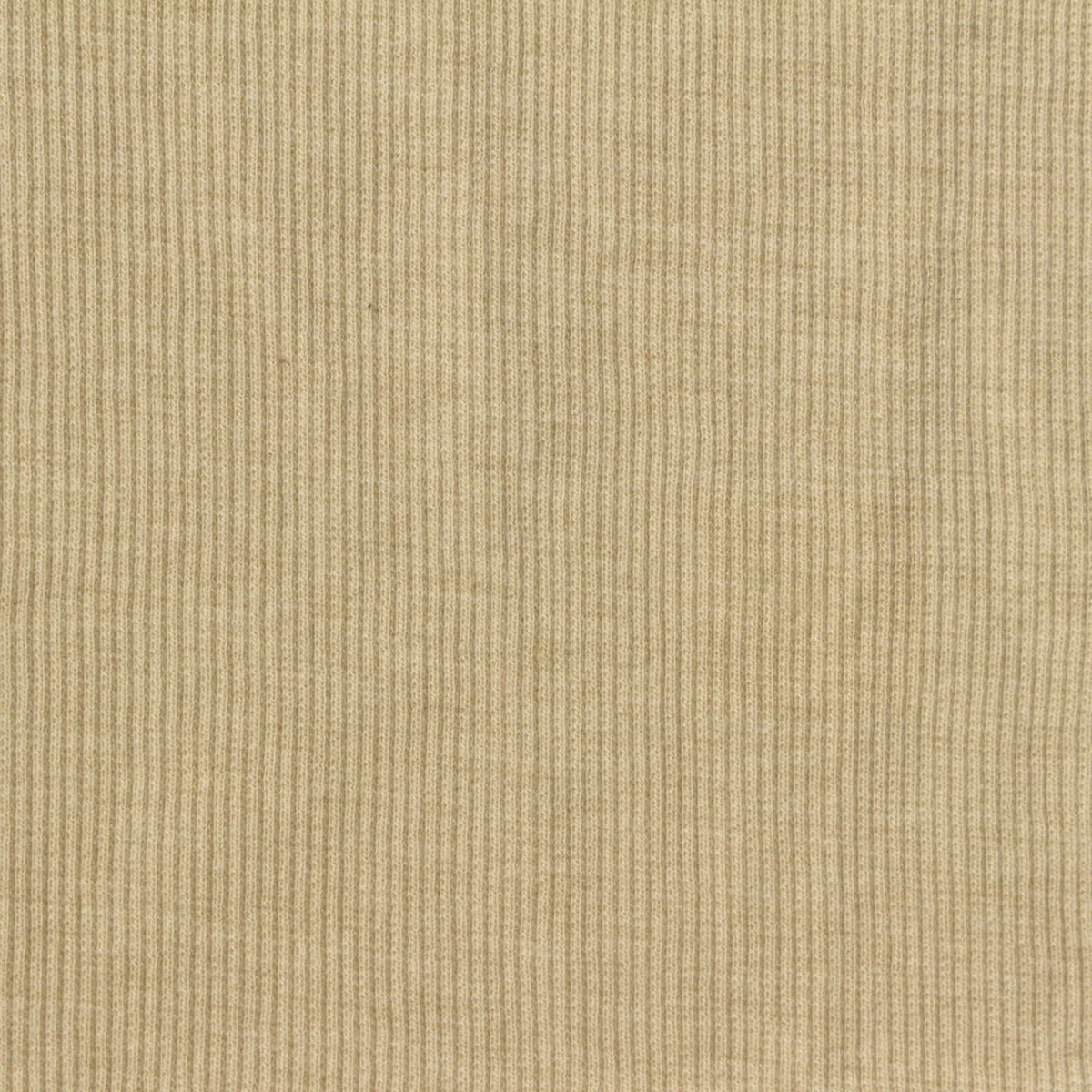 Polyester Cotton Stretch Rib Knit Fabric, 300 gsm, 100 cm — Khaki