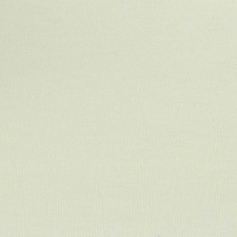 Polyester Viscose Stretch Scuba Knit Fabric, 250 gsm, 160 cm — White