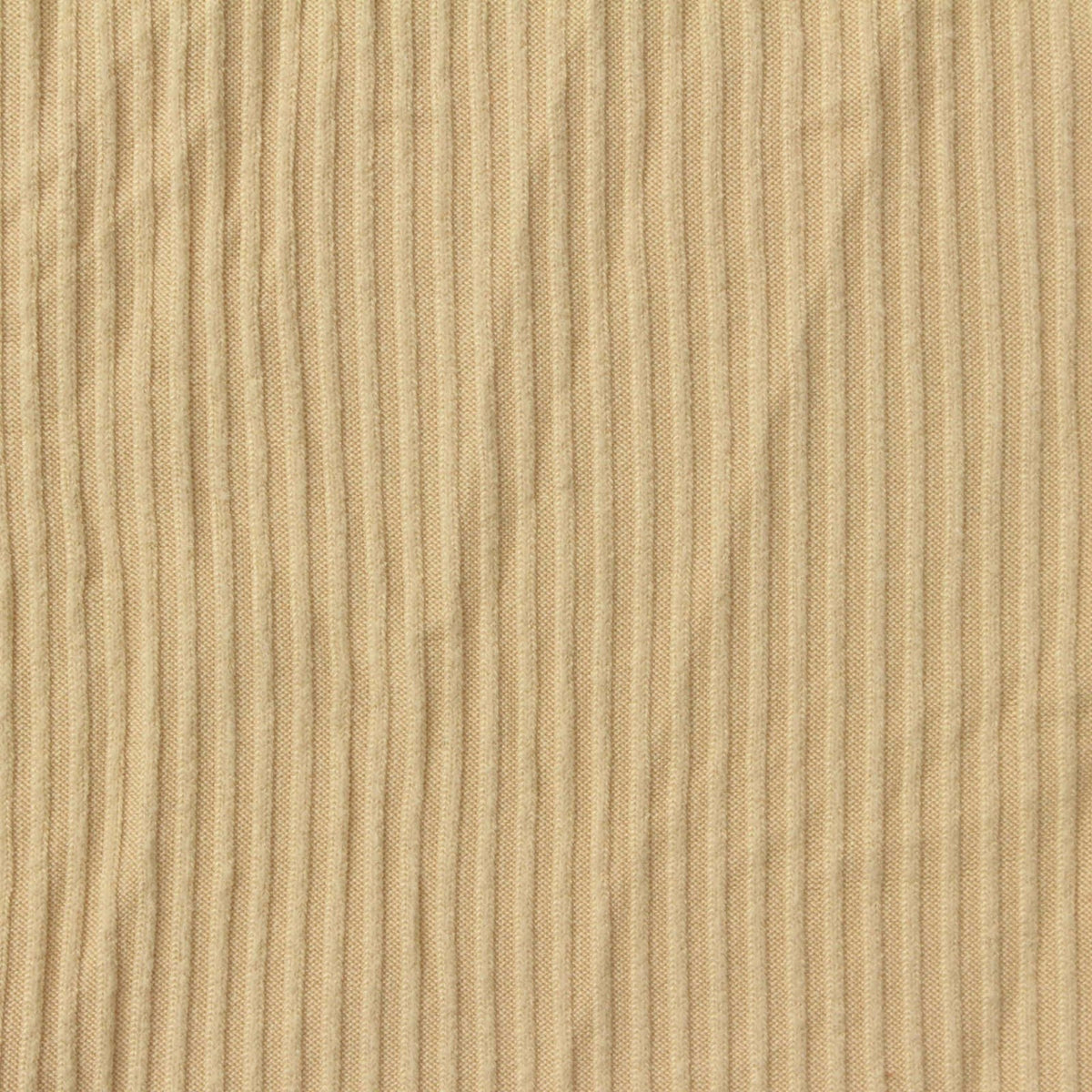Brushed Polyester Stretch Rib Knit Fabric, 150 gsm, 160 cm — Beige