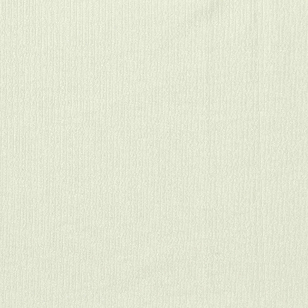 Viscose Stretch Rib Knit Fabric, 263 gsm, 178 cm — White