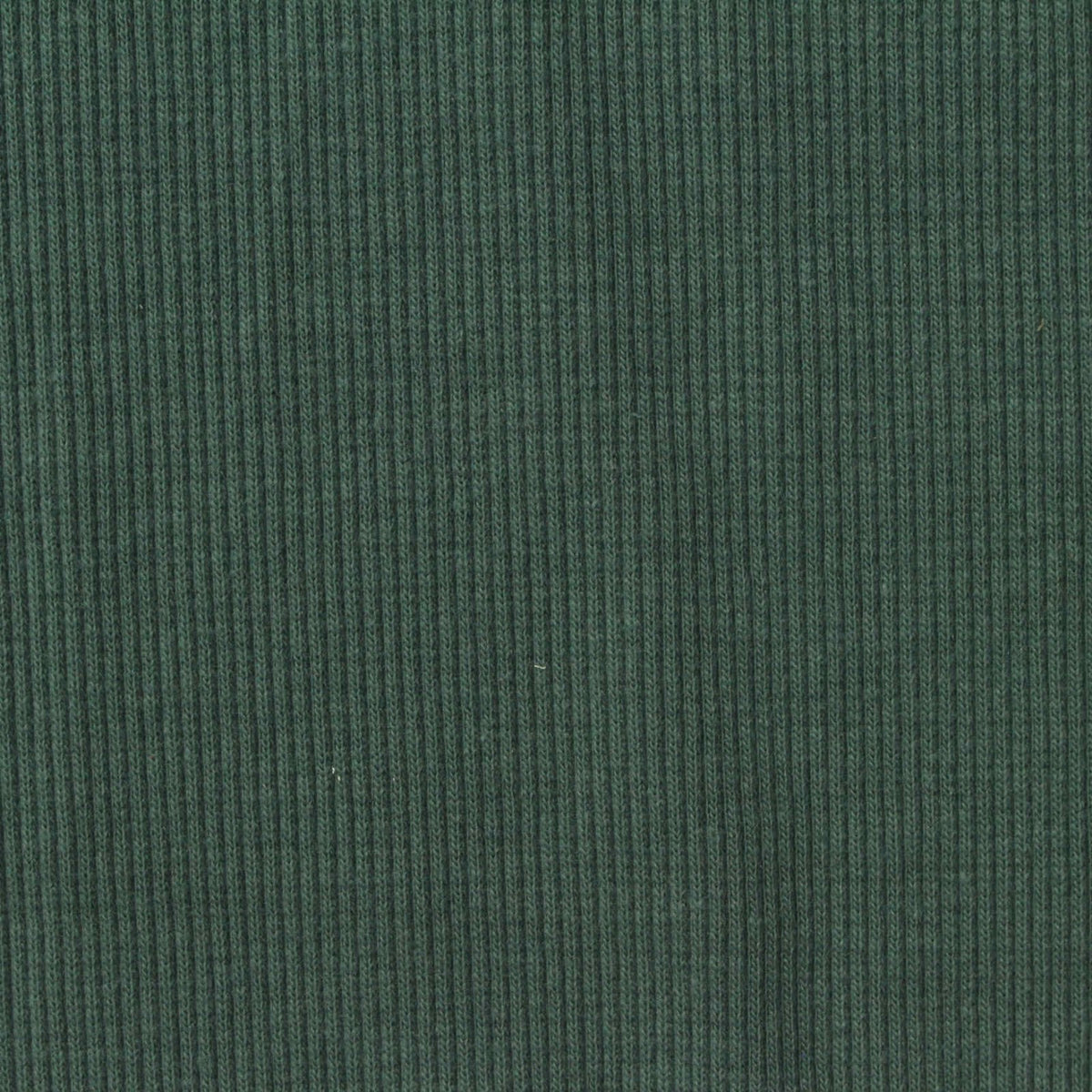 Polyester Cotton Stretch Rib Knit Fabric, 339 gsm, 124 cm — Green